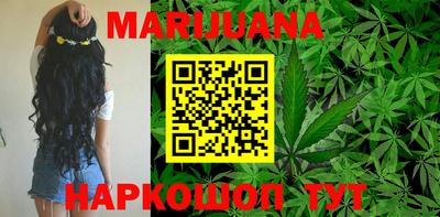 apvp Славгород