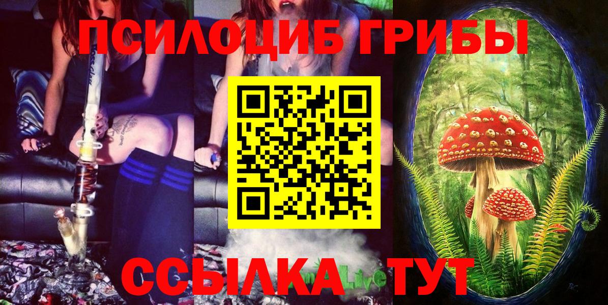 Псилоцибиновые грибы Cubensis Нальчик